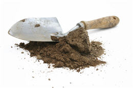 Shovel and dirt