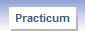 Practicum